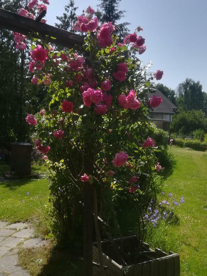 Ferienwohnung Hellriegel Weißwasser/Oberlausitz Exterior foto